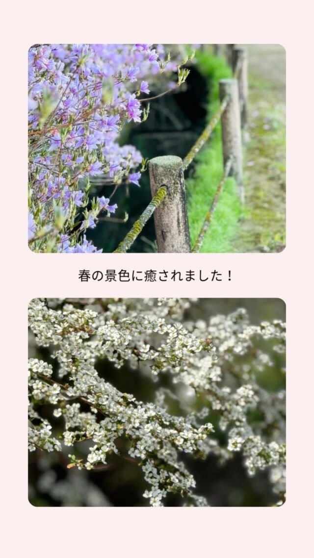 今日はプログラムで春を探しに行きました！
お天気も良く、気温もグッと上がって、いい汗をかきました！

桜も咲きはじめていましたよ！
今週末には、見頃を迎えそうです🌸
満開になるのが楽しみですね🍀＊°

花粉や黄砂が飛散する時期となりました😢
アレルギー体質の方は、マスクなどの対策をしてお過ごしください🙇‍♀️

#森口病院
#依存症治療拠点機関
#アルコール依存症
#ギャンブル依存症
#薬物依存症
#依存症
#鹿児島県
#鹿児島市
#家族支援
#家族サポート
#かぞくの森
#かぞく
#森
#つながり
#サポート
#フォーラム
#自助グループ
#回復
#生きづらさ
#相談窓口
#無料相談
#相談電話
#治療
#春
#桜
#散歩
#開花
#プログラム
#おすすめ