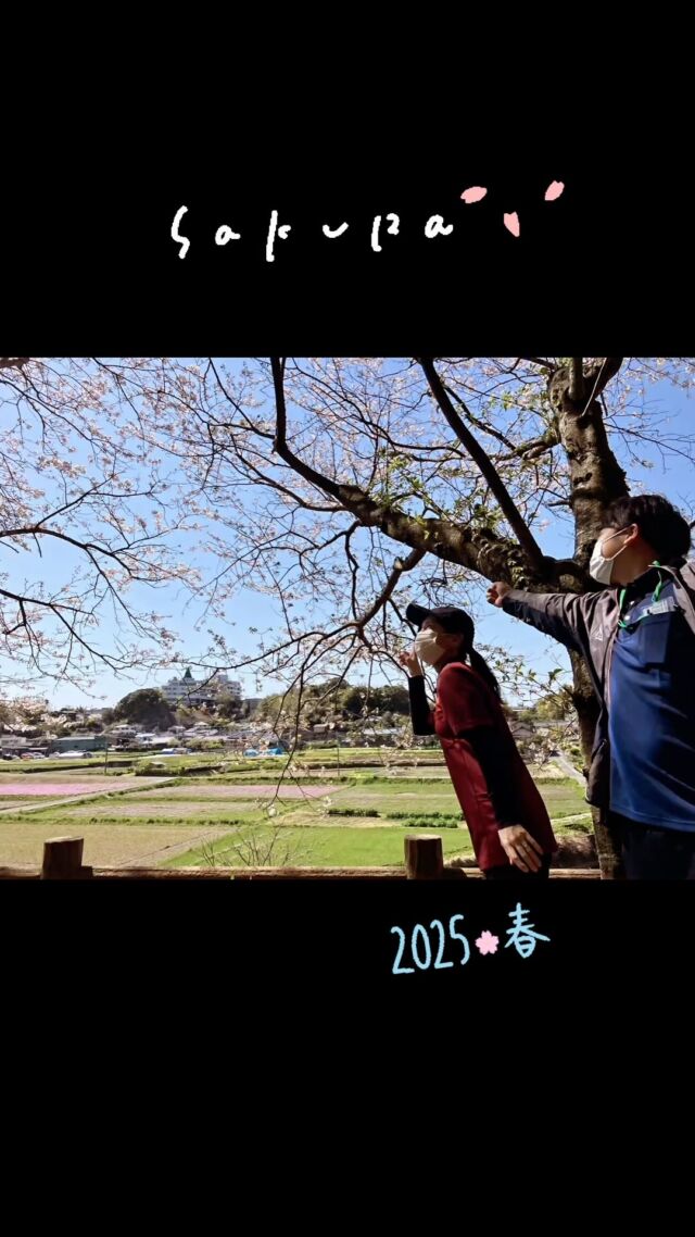 こんにちは♪
森口病院にも春がやって来ました🌸

今週はOTプログラムとして患者様と近くの桜並木を眺めながら花見ウォーキングを行いました✨
患者様も春の到来を実感できる良い時間となりました🤭

当院では季節毎に四季を感じられるOTプログラムを取り入れております！

今後も引き続きお知らせやプログラムを投稿して参りますのでお楽しみに✨

それでは皆様も季節の変わり目ですので、くれぐれもお身体にはご自愛ください😊

#春
#さくら
#森口病院 
#ギャンブル依存症 
#アルコール依存症 
#薬物依存症 
#鹿児島県 
#鹿児島市
