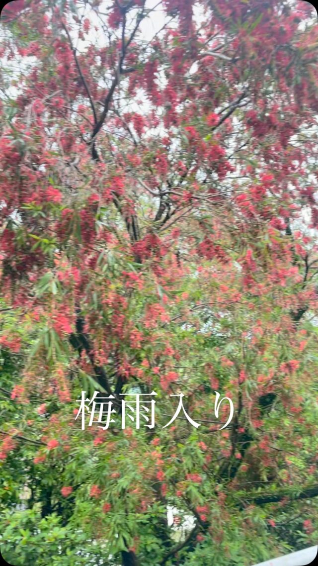 こんにちは♪
いかがお過ごしでしょうか？？

梅雨入りしましたね☔️
今年は九州南部が例年よりひと足早い梅雨入りとなってるみたいですね！

明日以降は少し天気が良くなると言われてはいますが...
天候や気候が変わりやすいので、
皆様もお身体にご自愛ください😊✨

#森口病院
#依存症
#梅雨