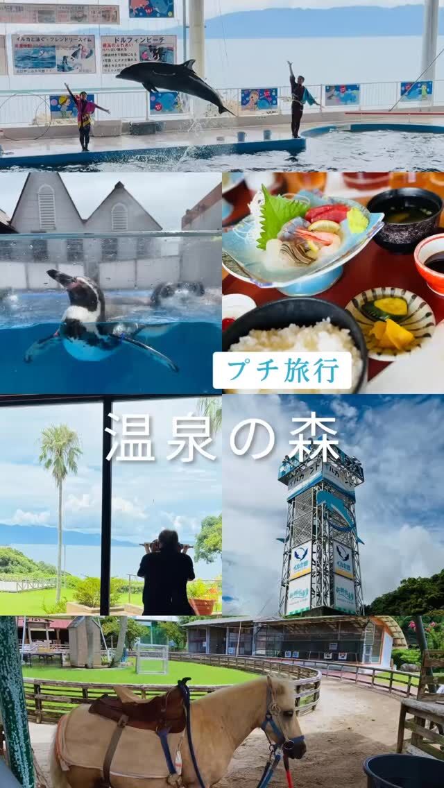 志布志までプチ旅行ドライブへ🚗💨

今回は天気にも恵まれ、快晴☀️✨
まさにドライブ日和でした！

美味しいランチに舌鼓の後は、志布志大黒イルカランドへ🐬🌊
イルカショーを観たり、ポニーと触れ合ったり、今回もたくさんの笑顔で溢れていました😊

心のデイナイトケア温泉の森では、治療の継続や社会生活力の回復を目的として、様々なプログラムを提供しています。
座学だけではなく、仲間との交流の時間も回復には大切な時間です🍀＊°

#志布志
#イルカ
#プチ旅行
#デイナイトケア温泉の森
