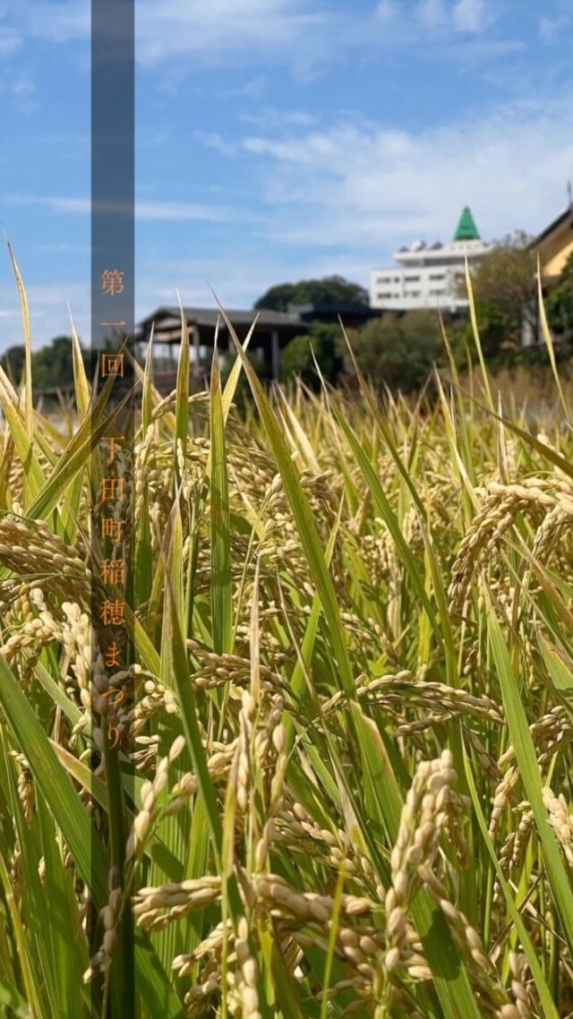 第一回 下田町稲穂まつり🌾✨
ご来場くださった皆さま、本当にありがとうございました！

今回は、同じ法人のグループ「さくらんぼ🍒」のスタッフと一緒にブースを出店しました！
ヨーヨー釣りを楽しんでくれたお子さまや、アルコールパッチテスト体験に立ち寄ってくださった皆さまと直接お話しでき、とても温かく素敵な時間を過ごすことができました。

そして……！次のイベントも決定しています🎉

秋の「アルコール関連問題啓発週間」企画として、森口病院主催でイベントを開催します！

🍁 森のフェスタ
📅 2026.11.14 (土)
🏥 主催：森口病院

皆さまに楽しんでいただけるよう準備を進めています！
11月14日は、ぜひ「森のフェスタ」へあそびに来てくださいね🙌
皆さまのお越しを心よりお待ちしております！

#下田町
#森口病院
 #さくらんぼ
 #地域交流
 #イベント開催