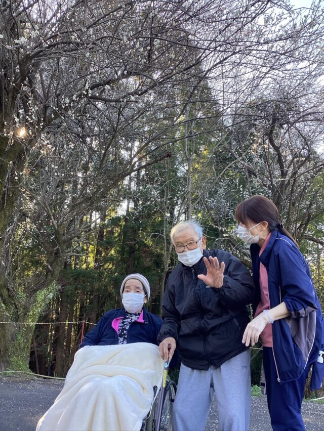 .
.
.
寛容会のお出掛けのヒトコマ。
.
.
.
#介護老人保健施設 さくらんぼ🍒
#梅の花 を見に
#敷地内お出掛け
#春よこいこい ☘️✨
#高齢者リハビリ 
.
.
.
リハビリがてら梅の花を見にでかけました！
外はすっかり暖かくなり
少しずつ春めいてきましたね🦋💖
.
梅の花が咲きみだれ
美しさに心癒されました😌🎶
これからたくさん春をみつけていきましょう！

.
.