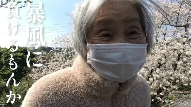 .
.
.
寛容会のお花見のヒトコマ。
.
.
.
#鹿児島 老健さくらんぼ🍒
#鹿児島お花見 
#高齢者リハビリ 
#桜満開 
#笑顔満開 🌸🌸🌸
.
.
.
鹿児島市下田町も桜が満開🌸
今の時期にしか見れない桜だから！
リハビリがてら坂道も頑張って
歩きました🚶‍♀️✨✨
.
桜を見ると気分も明るくなりますね💓
.
.
.