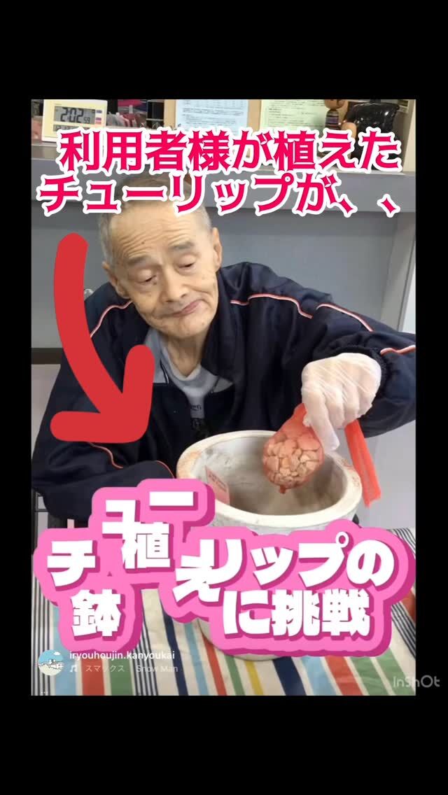 .
.
.
寛容会の開花のヒトコマ。
.
.
.
#鹿児島高齢者施設 さくらんぼ🍒
#園芸活動 🪴
#チューリップ 🌷🌷🌷
#高齢者レク 
#高齢者リハビリ 
.
.
.
利用者様がたが植えたチューリップの球根が！！
ぐんぐんすくすく成長して😳❣️
見事に開花いたしました🌷🌷✨
きれいきれい！🙌ばんざい！
.
お散歩の楽しみにもなり🌷
春は心にも花が咲きます🌼💓